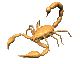 les insectes rarre Scorpion
